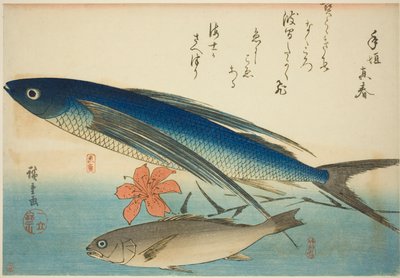 Flying fish og Ichimochi, fra en serie med fisk uten tittel av Utagawa Hiroshige