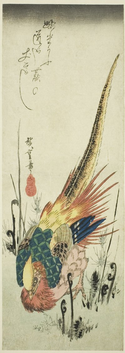 Gullfasan og brakkebregner av Utagawa Hiroshige
