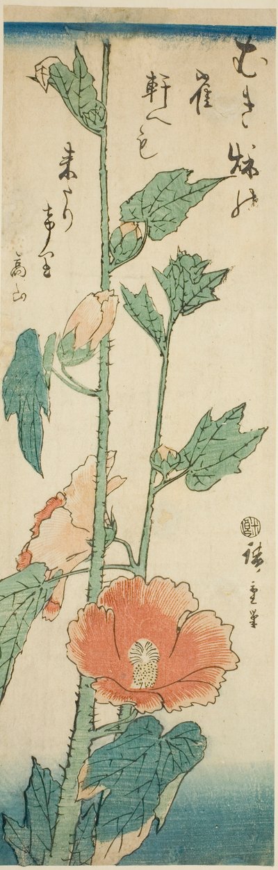 Hibiskus av Utagawa Hiroshige