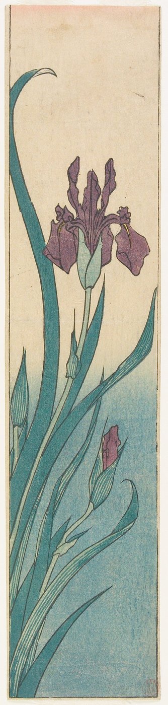 Iris av Utagawa Hiroshige
