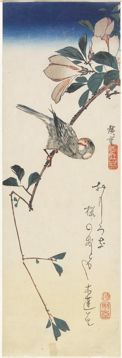 Java Sparrow og Magnolia, 1834-1839 av Utagawa Hiroshige