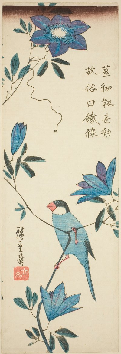 Javaspurv og klematis av Utagawa Hiroshige