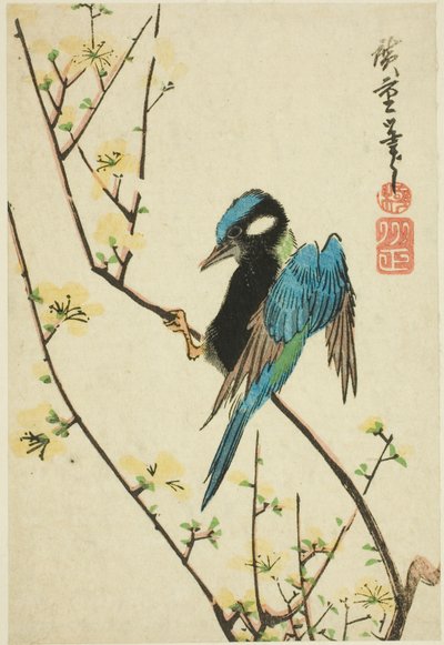 Java spurv på kirsebærgren av Utagawa Hiroshige