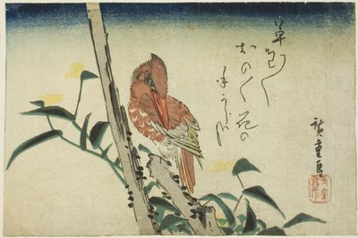 Kingfisher og dagblomst av Utagawa Hiroshige