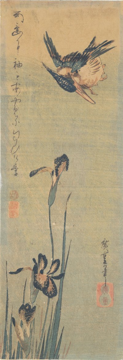 Kingfisher som flyr over en iris av Utagawa Hiroshige