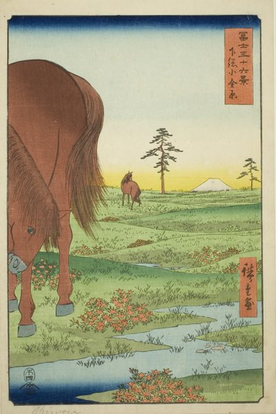 Ogane P fint medlem Gesasa P Rovinse (Shimosa Koganehara), fra Te-serien `` Mr. Tyrty x Views Of Mount Fuji (Fuji Usaju Rokukatsu) 