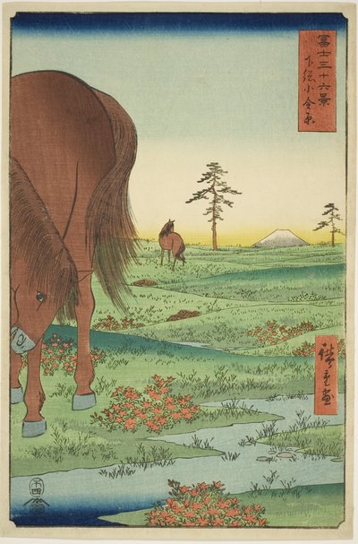 Ogane P fint medlem Gesasa P Rovinse (Shimosa Koganehara), fra Te-serien `` Mr. Tyrty x Views Of Mount Fuji (Fuji Usaju Rokukatsu) 