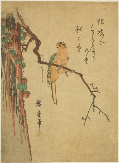 Ara på eføy-dekket tre av Utagawa Hiroshige