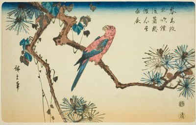 Ara på furugren av Utagawa Hiroshige