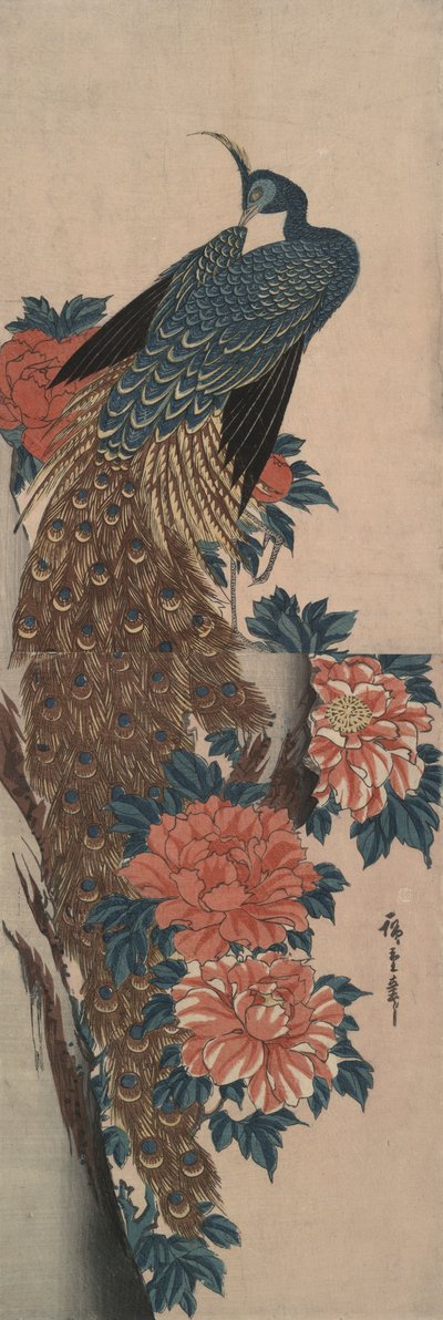 Påfugl og peoner av Utagawa Hiroshige