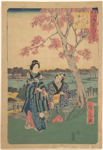 Plommeblomstring i den tredje måneden ved Sumida-elven, fra serien Årlige begivenheter på berømte steder i den østlige hovedstaden (Tōto meisho nenjū gyōji sangatsu sumitagawa waka mōde) av Utagawa Hiroshige
