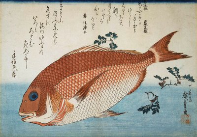 Røde havbrasmer, 1832-1834. av Utagawa Hiroshige