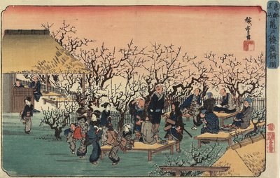 Utsikt over plommehagen ved Kameido, 1832-1834 av Utagawa Hiroshige