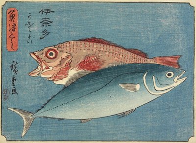 Gulhale og steinfisk, 1830-1844 av Utagawa Hiroshige