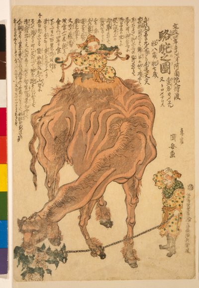 En kamel, pub. 1824 (håndfarget tresnitt) av Utagawa Kuniyasu