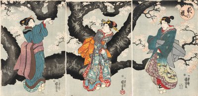 Yoru no sakura [Cherry Blossoms at Night], ca. 1846 (treblokktrykk) av Utagawa Kuniyoshi