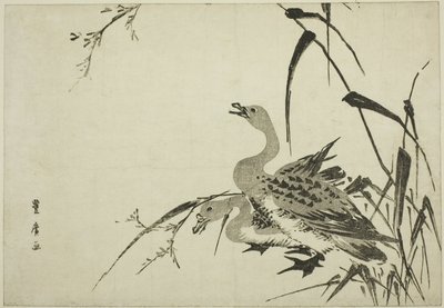 Villgås og siv av Utagawa Toyohiro