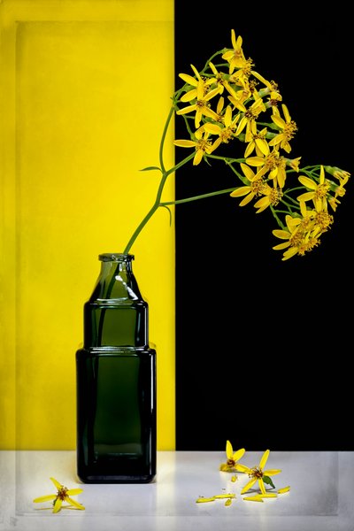 Gule blomster – moderne kontrast av Vadim Kulinsky