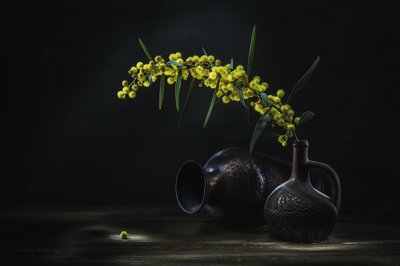 Stilleben med gul mimosa av Vadim Kulinsky