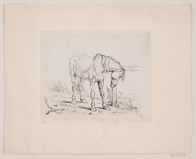 En gammel hest av Valdemar Irminger