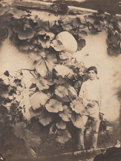 Gutt med en gresskarvin, 1854. av Varin Frères