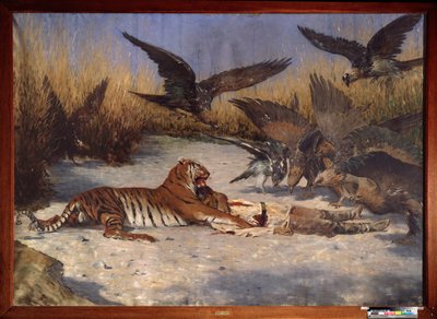 A Man-eater - Maleri av Vasili Vasilyevich Vereshchagin (Vassili Vereshchagin) (1842-1904), olje på lerret, rundt 1870-1880, russisk kunst 1800-tallet - Regionalt W Wereshchagin Art Museum, Mykolaiv (Ukraina) av Vasili Vasilievich Vereshchagin
