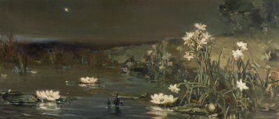 Stjerne i natten av Vasilii Kotarbinsky