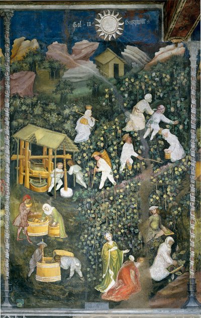 Oktober: høstingsscene, høsting av druer og tilberedning av mout (vinpressing). Maleri av Månedens Mester eller Mester Wenceslas (Maestro dei Mesi eller Maestro Wenceslao på italiensk, begynnelsen av 1400-tallet) restaurert av Marcello Fogolino ca. av Venceslao Maestro