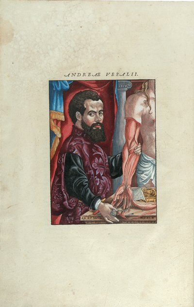 Portrett av Andreas Starr fra 