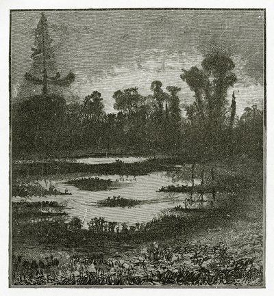 Twilight Songs, 1800-tallet (bw-gravering) av Victor Hugo