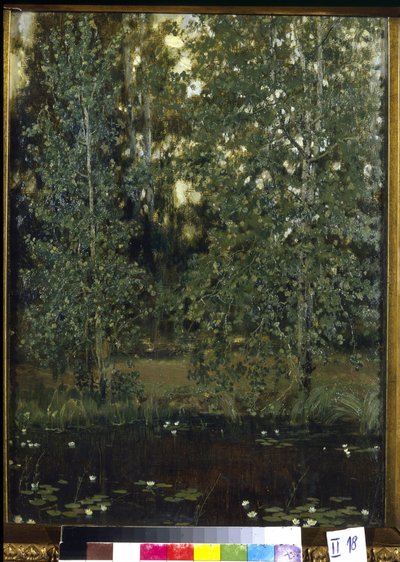 Dam i Akhtyrka (eller Okhtyrka, Ukraina). Maleri av Viktor Mikhaylovich Vasnetsov (1848-1926), olje på lerret av Victor Mikhailovich Vasnetsov