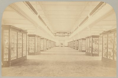 Pl. III. Hovedhistorie: Fugler av Victor Prevost, Gaston L. Feuardent and Co., New York