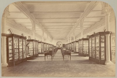 Pl. V. Øvre historie: Fossiler av Victor Prevost, Gaston L. Feuardent and Co., New York