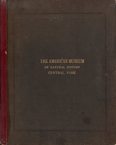 Det fotografiske albumet til American Museum of Natural History, Central Park, New York City av Victor Prevost, Gaston L. Feuardent and Co., New York