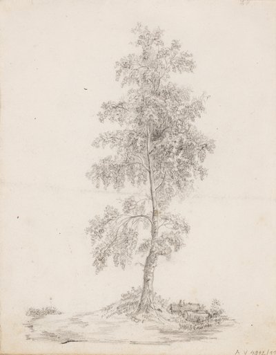  av Victoria Åberg