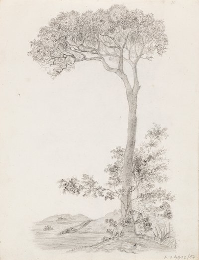  av Victoria Åberg