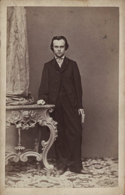 Portrett av komponisten Anton Rubinstein 1829-1894. av Vienna . Photo studio Franz Schultz