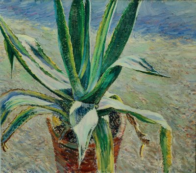 Agave, 1891 av Viktor Elpidiforovich Borisov Musatov