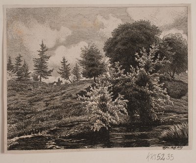 Bakker ved en myr av Vilhelm Kyhn