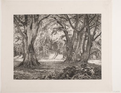 Det indre av en skog av Vilhelm Kyhn