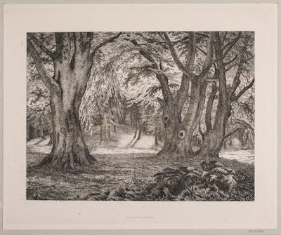 Det indre av en skog av Vilhelm Kyhn