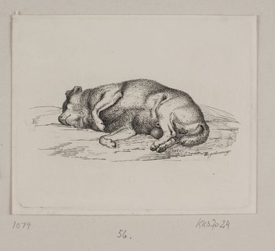 En løgnaktig hund av Vilhelm Kyhn