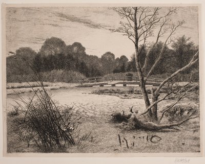 Solnedgang i en skog av Vilhelm Kyhn