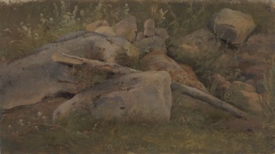 Studie av en steinhaug av Vilhelm Petersen