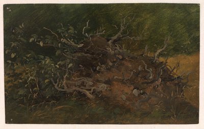 Studie av en trestubbe av Vilhelm Petersen