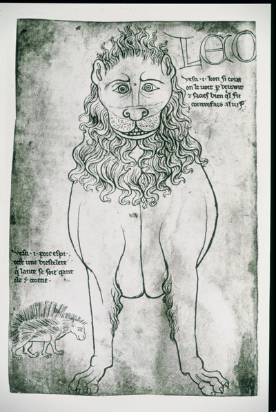 Fr 19093 fol.24v Løve og piggsvin (faksimile) av Villard de Honnecourt