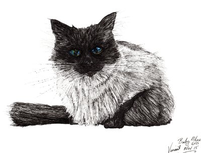Babyblå øyne, 2015, (blekk på papir) av Vincent Alexander Booth