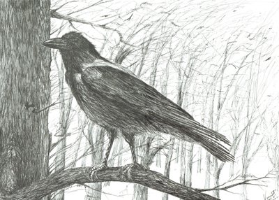 Fugl, 2011 av Vincent Alexander Booth