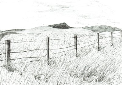 Culter Fell fra Hartfell, 2005 av Vincent Alexander Booth