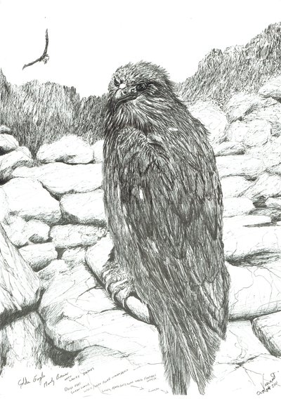 Eagles of the Highlands, 2011 av Vincent Alexander Booth